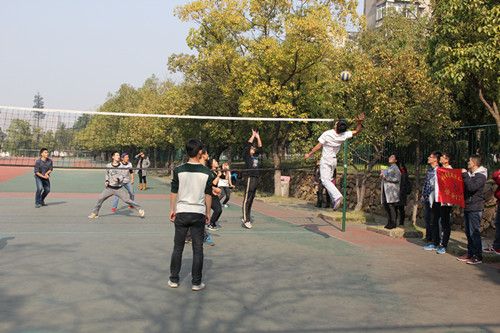 青春飞扬 热情如火——91在线排球赛决赛圆满结束
