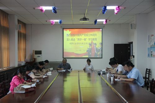 91在线行政党支部开展“支部主题党日”活动